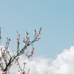 Photo powder pink